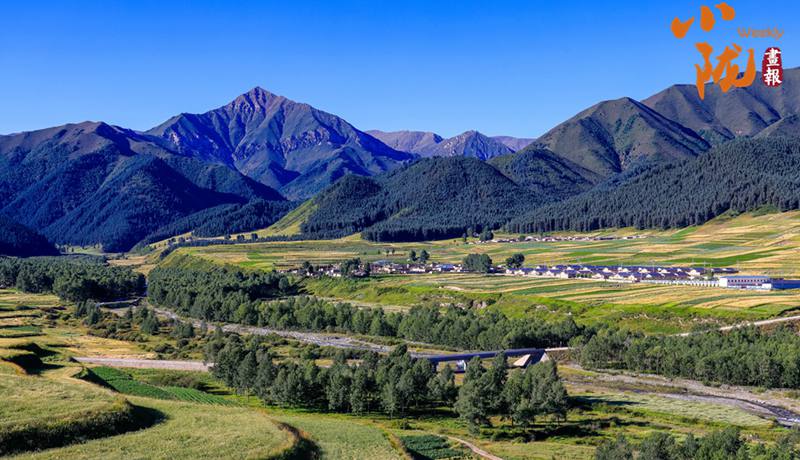 【小隴畫(huà)報(bào)·433期】天祝哈溪：白雪綠林同框 冬日浪漫如畫(huà)境